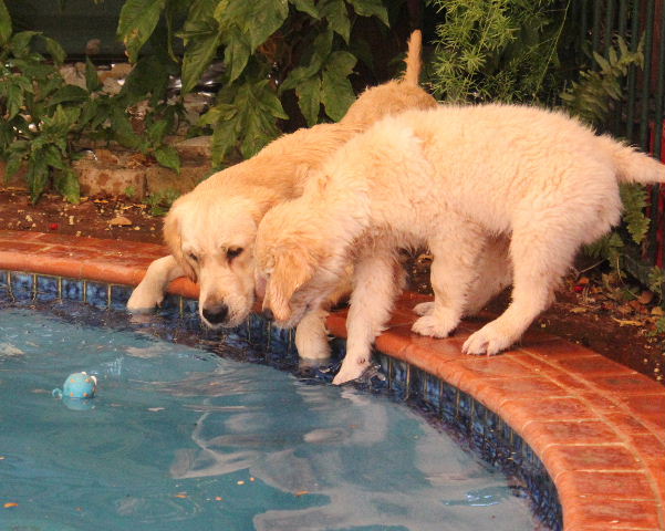 Willow N Storm